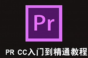 视频剪辑PR教程 115节课助您玩转pr+软件破解版