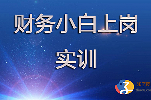 财务小白上岗实训