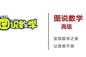 王乃向《图说数学》高级版 完整课
