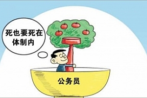 老秘书丨体制内生存与晋升之道,教你如何趋利避害(完结)