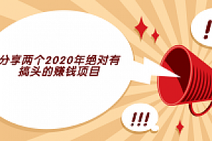 分享两个2020年绝对有搞头的赚钱项目