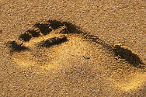 混社会的两套法则,你能掌握就能混得开