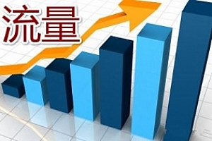 我的梦想就是一天可以搞到10个流量!