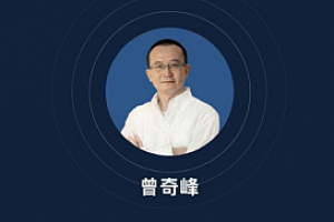 曾奇峰的心理课:精神分析30讲完整版