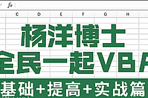 杨洋博士全民一起VBA(基础篇+提高篇+实战篇)完整版