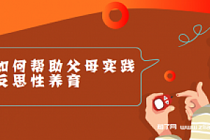 Regina讲咨询师如何帮助父母实践反思性养育(完结)