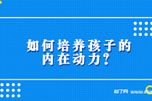 杨杰 如何培养孩子的内在动力?
