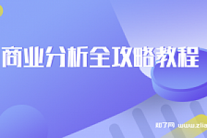 商业分析全攻略教程【完结】