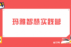 杨帆·玛雅智慧实践营【完结】