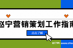 赵宁营销策划工作指南【完结】