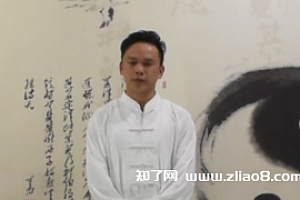 陆天《武当长生门真阳秘功》视频9集