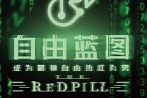 Chris《2022红丸会员4.0”—自由蓝图》【完结】
