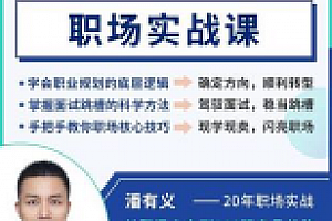 潘有义职场实战课-教你上班的课【完结】