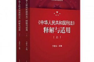 中华人民共和国刑法释解与适用 2021 pdf版