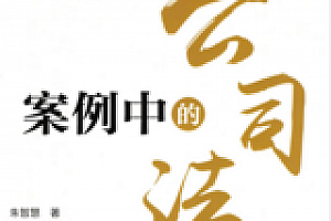 案例中的公司法 202204 朱智慧 pdf版下载