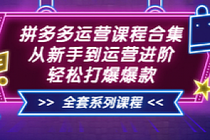 拼多多运营课程合集(火焱社)