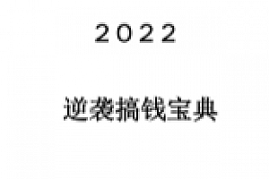 《2022搞钱逆袭宝典》【无水印】 pdf版下载