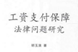 工资支付保障法律问题研究 201501 胡玉浪 pdf版下载