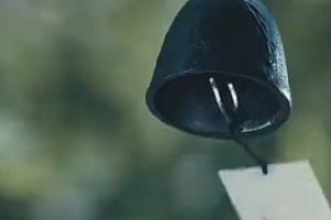 赛维舒压冥想系列(8集视频)