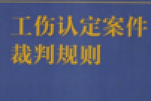 工伤认定案件裁判规则 202208 韩德强 pdf版下载