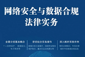 网络安全与数据合规法律实务 罗振辉 2023 pdf版下载
