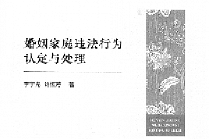 婚姻家庭违法行为认定与处理 李宇先 2023 pdf版下载