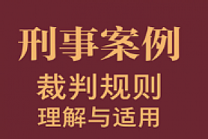 刑事案例裁判规则理解与适用 2023 pdf版下载