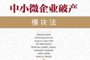 中小微企业破产:模块法 202208  (加) 罗兰德. 戴维斯等著,韦子唯 译 pdf版下载