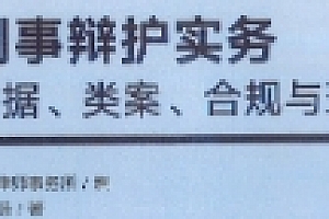 刑事辩护实务:证据、类案、合规与理念 盈科律师事务所 pdf版下载