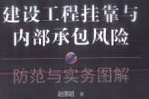建设工程挂靠内部承包风险防范与实务图解 pdf版下载