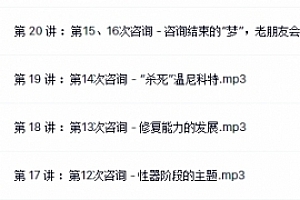 赵丞智 一起遇见温尼科特20节系列课【网盘资源】