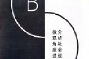 觉醒B册【完结版】 pdf版下载