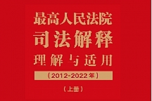 最高人民法院司法解释理解与适用:2012-2022(上册+下册)202301 杨临萍 pdf电子版下载