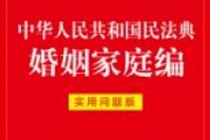 中华人民共和国民法典婚姻家庭编:实用问题版 202009 pdf电子版下载