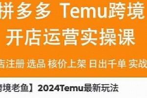 【跨境老鱼】2024Temu最新玩法【网盘资源】