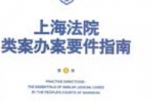上海法院类案办案要件指南(第8册)202402 王光贤 pdf电子版下载