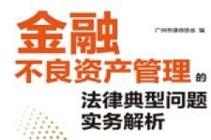 金融不良资产管理的法律典型问题实务解析 广州市律师协会 2023 pdf电子版下载