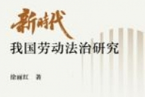 新时代我国劳动法治研究 202311 徐丽红 pdf电子版下载