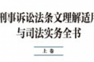 刑事诉讼法条文理解适用与司法实务全书 上中下 张述元【文字版】pdf电子版下载