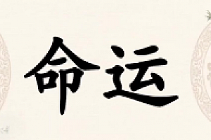 三诚老师易学特训营5天视频课程【网盘资源】